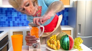 Monkey Baby Bon Bon harvests fruit on the farm to make watermelon smoothies