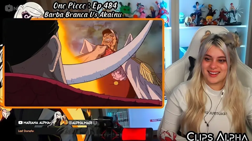 Mariana Alpha Barba Branca Vs Akainu One Piece Ep 484 React Bilibili