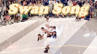 优雅永不过时，春天就要跳天鹅舞！LE SSERAFIM Swan Song