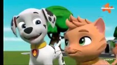 paw patrol musim 9 Episode 3 dan Episode 4 Dubbing indonesia vision+