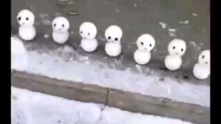 南方雪人vs北方雪人