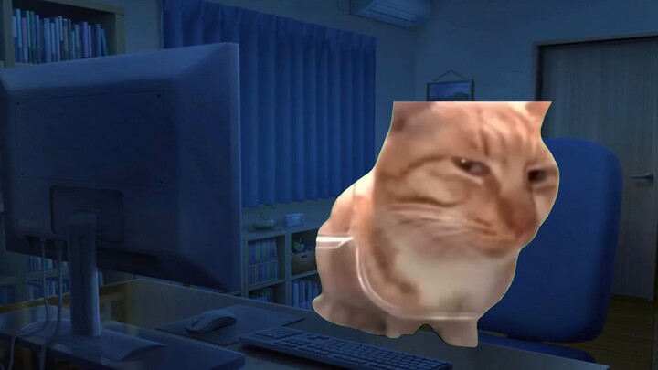 Meme kucing｜Apa yang harus Anda lakukan jika Anda memindai kode dan mendapatkan nomor yang menyakitk