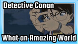 [Detective Conan/Lit/Epic] What an Amazing World