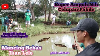 Mancing Bebas Part 2 Bang Edi Jackpot Belut Babon Super ❗❗(Micro Fishing)