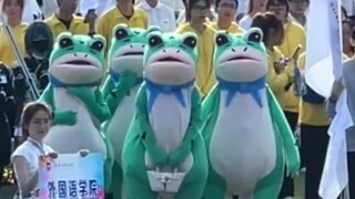 街舞区看到可爱蛙蛙