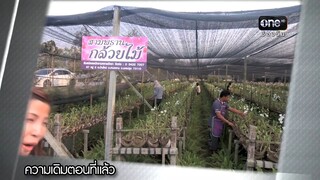 สงครามนางงาม ตอนที่37(จบ)