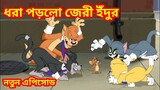 Tom and Jerry Bangla Cartoon || ধরা পড়লো জেরী ইঁদুর || টম অ্যান্ড জেরি বাংলা || chintu_dub