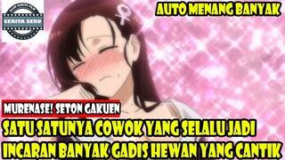 SATU-SATUNYA COWOK YANG SELALU JADI INCARAN BANYAK GADIS HEWAN YANG CANTIK - ALUR CERITA ANIME