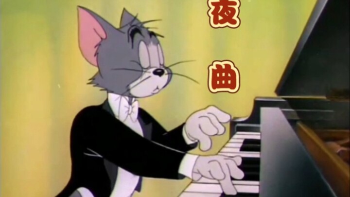 这才是《夜曲》的原MV！