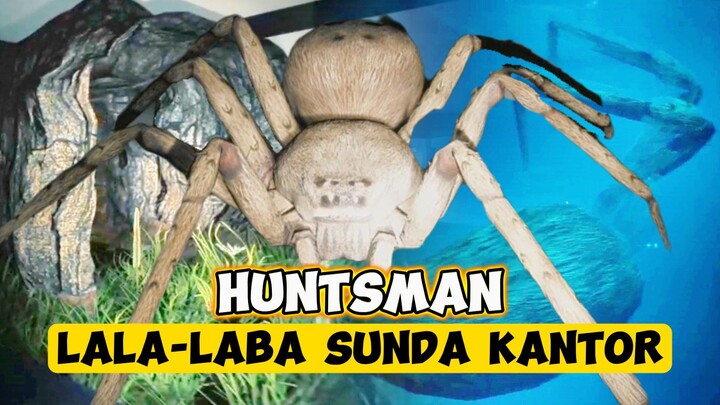 Berburu Laba-Laba Sunda | Cerita Game Huntsman