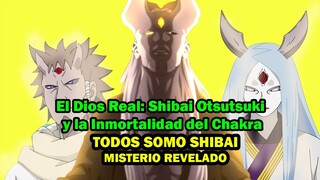 El Dios Real: Shibai Otsutsuki y la Inmortalidad del Chakra