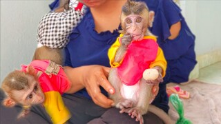 Wow baby adorable Toto so love eating rambutan fruit, She eats a lot & keeps some in her cheek