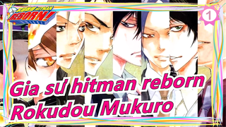 [Gia Sư Hitman Reborn!] Sawada Tsunayoshi & Rokudou Mukuro (Bịa đặt 6927 sau 10 năm?)_1