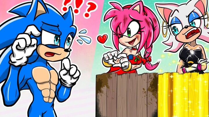 Để đạt đến đỉnh cao của cuộc đời, Sonic kiên quyết từ bỏ Amy, và một sự đảo lộn lớn đã xảy ra.
