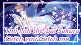 [Thủ lĩnh thẻ bài Sakura] OP - Catch you Catch me