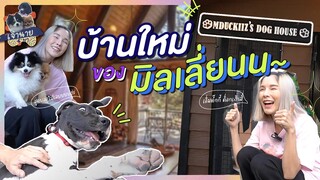 [เจ้านาย 4 ขา] บ้านใหม่ของมิลเลี่ยน คร๊าบบบบ #เกรทเดนหมาใหญ่