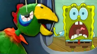 The Original Potty the Parrot Was RUINED in a SpongeBob Promo