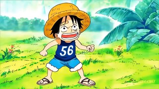 monkey D luffy