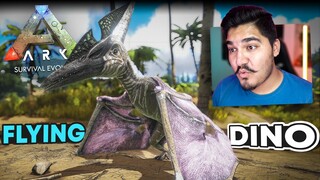 I TAMED A FLYING DINOSAUR! - ARK SURVIVAL EVOLVED #2