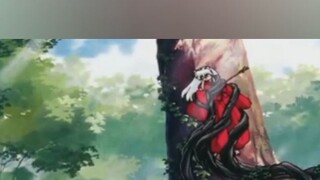 kagome bertemu dengan inuyasha di pohon suci