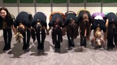 【TWICE】Grup akting wanita yang suka meniru satu sama lain_Jika aku menyukaimu, aku akan menirumu~