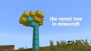 Fake minecraft speedrun. Be like