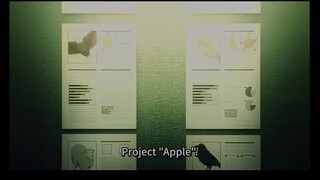 project"Apple" membuat hewan cerdas (SPYXFamily s2)