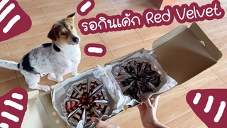 โลกของแสนดี ตอน รอกินเค้ก Red Velvet จากพี่ป๊อบปี้