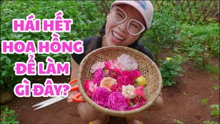 CHỊ ĐÃ LÀM NƯỚC HOA HỒNG BẰNG CÁCH NÀY ĐÂY