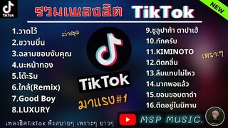 รวมเพลงฮิตในTikTokล่าสุด รวมเพลงฮิตในแอพติ๊กต๊อกล่าสุด ใหม่ล่าสุด