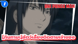 [กินทามะ]| 【คาซึระ โคทาโร่ Scene 4】ตอนที่15:สัตว์เลี้ยงติดตามเจ้าของ_1