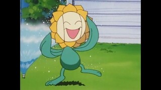 大パニック キマワリコンテスト