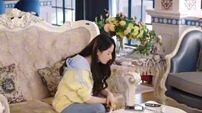 Movie's 181 I actually traveled into a book and fell in love with the CEO?