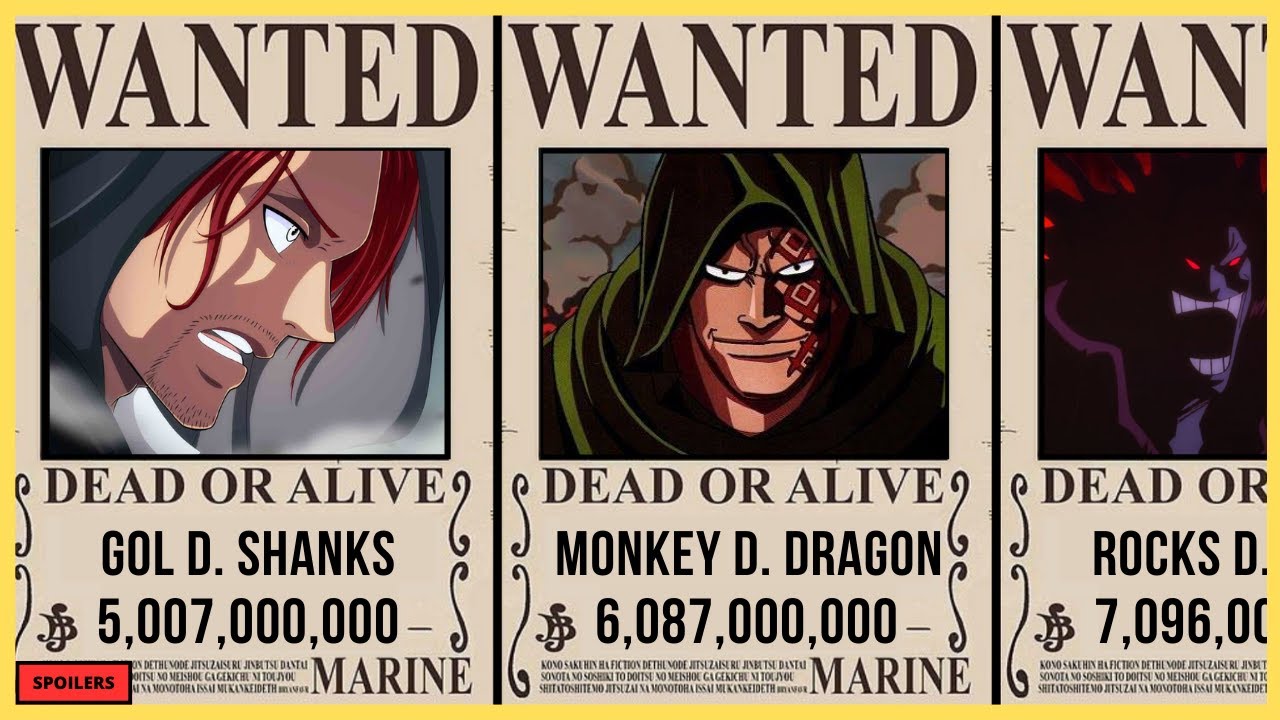 One Piece Dragon Bounty