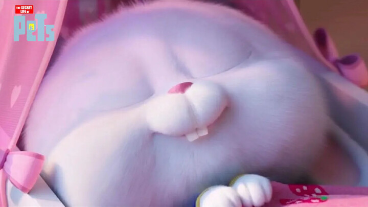 [The Secret Life Of Pets] Snowball's Clips