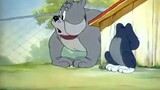 Tom and Jerry - 016  Memukul Anjing