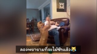 ไหนลองพยายามไม่ขำสิ