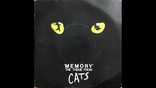 COVER : Memory from Cats the musical