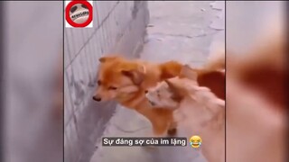 Mấy thằng lầm lì cọc lên sẽ thế này #funny