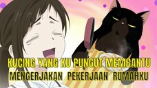 Kucing Peliharaanku Membantuku Mengerjakan Pekerjaan Rumah