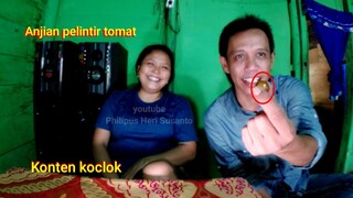 Tomat kecil yang membagongkan ajian plintir rempai / ranggem || prank hipnotis koclok