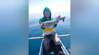 #jigging philippines #greatbaracuda
