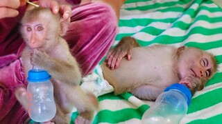 Apply Medical Cream On Yaya's Head & Put Diaper  Yaya is waiting for Mom give milk until fall asleep