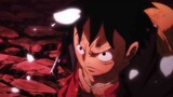 One Piece |  Warrior Of Liberation「AMV」