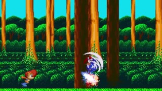 Sonic The Hedgehog Liberations-Forest Mayhem