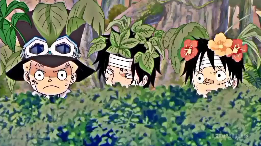 Ace, Sabo, and Luffy  Ace and luffy, One piece manga, Ace sabo luffy