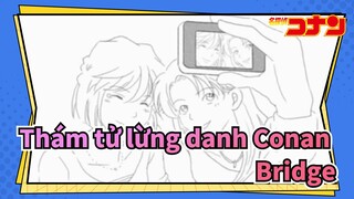 Thám tử lừng danh Conan|[Tự họa AMV]Bridge -Miyano Shiho&Miyano Akemi