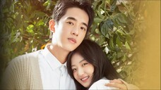 A Robot In The Orange Orchard S01 E01 720p Hindi