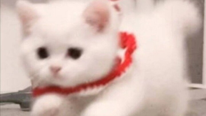 【手书】②