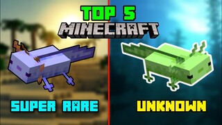 Những Sự Thật Thú Vị Mojang Không Muốn Bạn Biết Trong Minecraft !!!